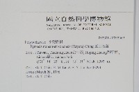 玉山石葦藏品圖，第2張