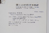 鱗瓦葦、長柄瓦葦藏品圖，第2張