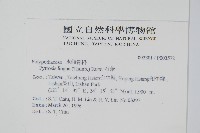 石葦藏品圖，第2張