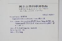 擬芨瓦葦藏品圖，第2張