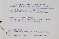 粵瓦葦藏品圖，第2張