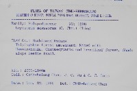 擬芨瓦葦藏品圖，第2張