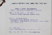 粵瓦葦藏品圖，第2張