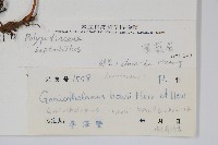 登錄號:P003612藏品圖，第2張