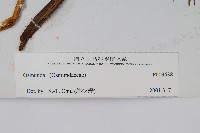 登錄號:P003638藏品圖，第2張