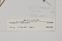 登錄號:P003642藏品圖，第2張