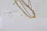 登錄號:P003664藏品圖，第2張