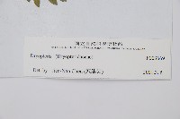 登錄號:P003669藏品圖，第2張