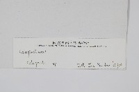 登錄號:P003695藏品圖，第2張