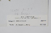 登錄號:P003699藏品圖，第2張