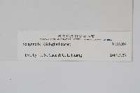 登錄號:P003703藏品圖，第2張