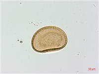 登錄號:P003712藏品圖，第3張