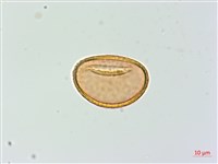 登錄號:P003712藏品圖，第4張