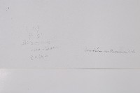 密毛岩蕨藏品圖，第2張