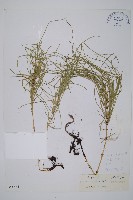 問荊藏品圖，第1張