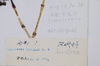 問荊藏品圖，第2張