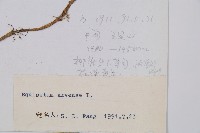 問荊藏品圖，第2張