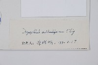 近多鱗毛蕨藏品圖，第2張