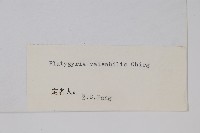 登錄號:P003744藏品圖，第2張