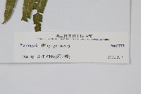 登錄號:P003773藏品圖，第2張