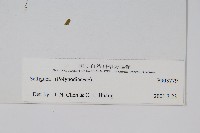 登錄號:P003779藏品圖，第2張