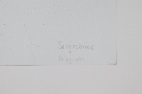 登錄號:P003780藏品圖，第2張