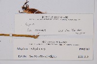 登錄號:P003789藏品圖，第2張