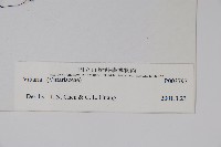 登錄號:P003797藏品圖，第2張