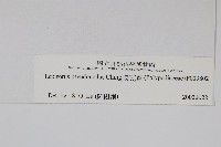 長瓦葦藏品圖，第2張