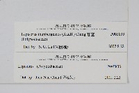 瓦葦藏品圖，第2張