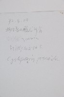 膜葉冷蕨藏品圖，第2張