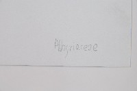 膜葉冷蕨藏品圖，第3張