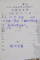 寬葉冷蕨藏品圖，第2張