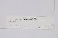 登錄號:P003861藏品圖，第2張