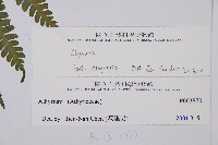 登錄號:P003870藏品圖，第2張