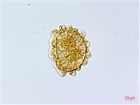 登錄號:P003871藏品圖，第2張