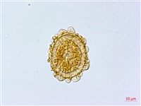 登錄號:P003871藏品圖，第4張