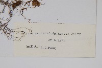 登錄號:P003889藏品圖，第2張