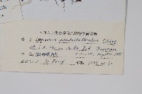 登錄號:P003890藏品圖，第2張