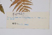 登錄號:P003894藏品圖，第2張