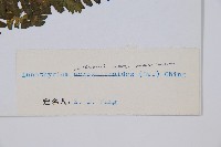 登錄號:P003895藏品圖，第2張