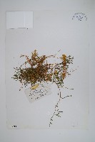 登錄號:P003898藏品圖，第1張