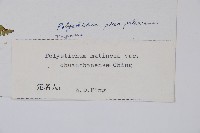 登錄號:P003901藏品圖，第2張