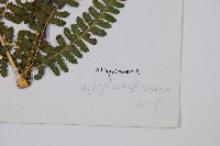 登錄號:P003908藏品圖，第2張