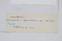 登錄號:P003915藏品圖，第2張