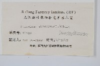 烏蕨藏品圖，第2張