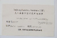 斜方複葉耳蕨藏品圖，第2張
