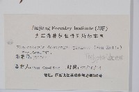 翅軸假金星蕨、短柄卵果蕨藏品圖，第2張