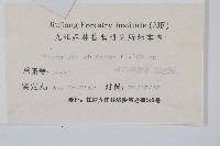 烏蕨藏品圖，第2張