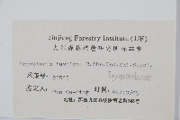 黑足鱗毛蕨藏品圖，第2張